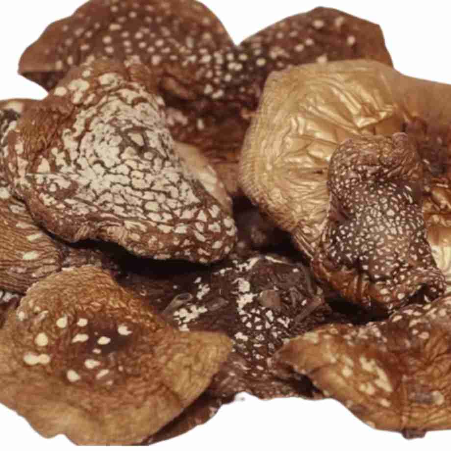 Amanita Phanterina Seca Cerimona y Microdosing