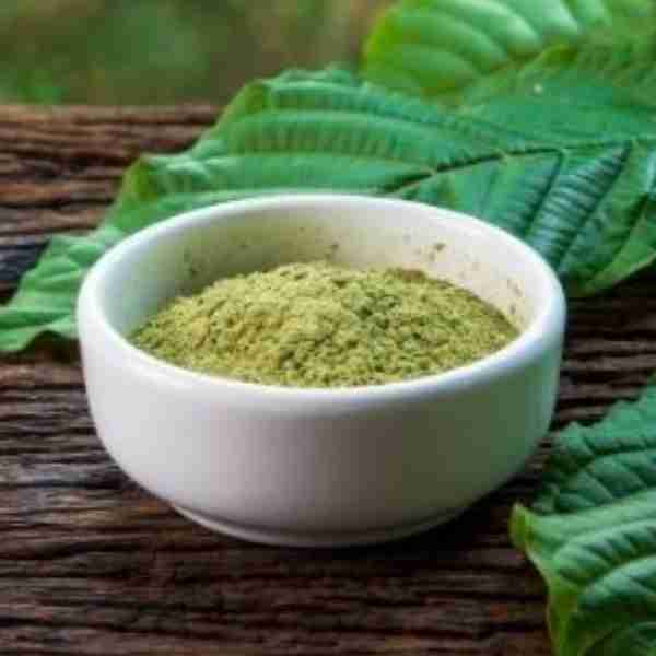Kratom Maeng Da Verde Mitragyna Speciosa