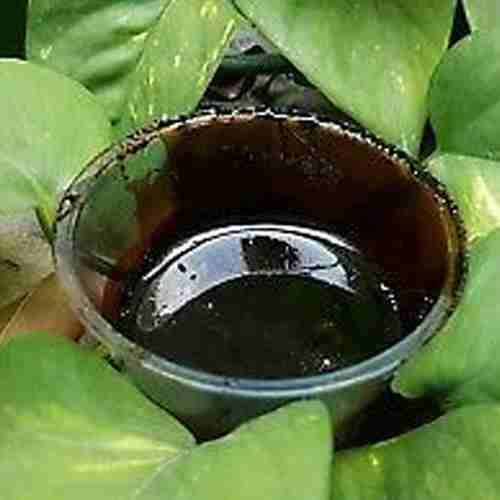 Ayahuasca, Banisteriopsis Caapi Cielo - Original Chacruna, Chaliponga , Harmala, La Mimosa (Pegar)