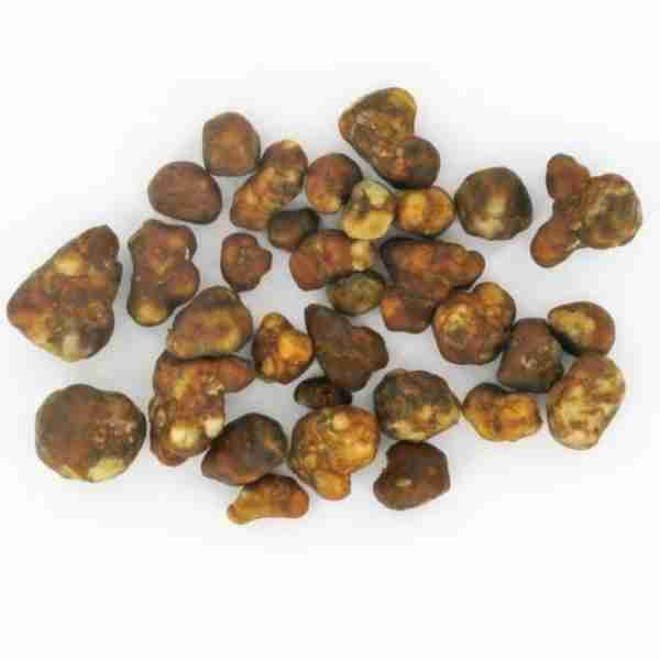 Las trufas Mágicas Hollandia Seca Espiritual - Microdosis y Ceremonia