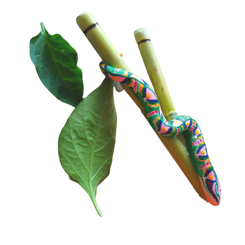 Kuripe Gran Serpiente - Mixcolor Primordial De Bambú