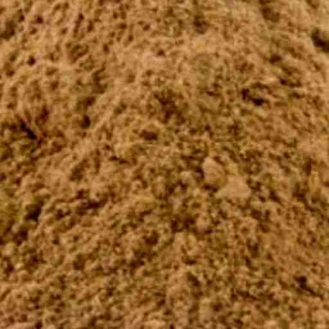 Rapé Artemisia Assenzio: cos'è, origini, effetti e uso consapevole